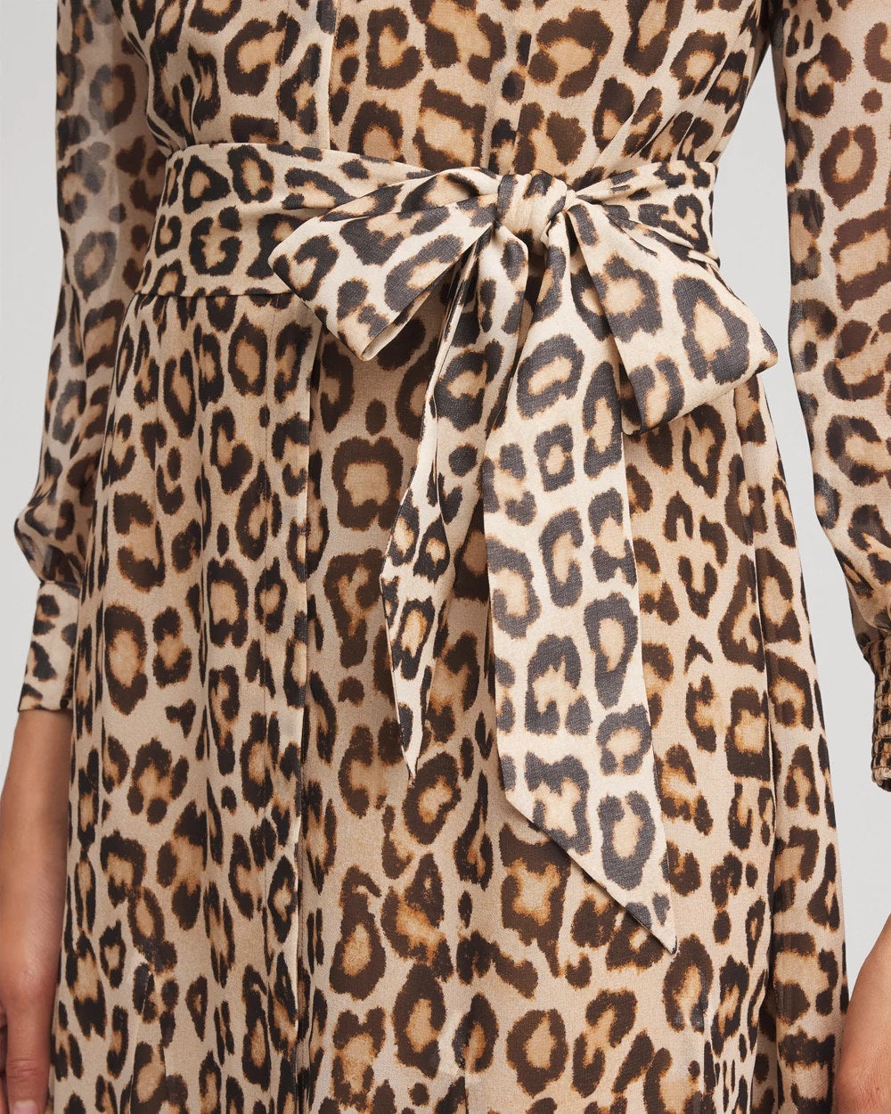 Chico's Women | Cheetah-Print Godet Dress BRIAR BROWN
